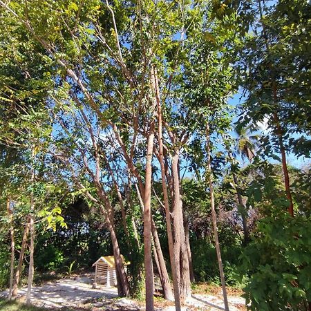 Casa Nova 2 Villa São José da Coroa Grande Exterior foto